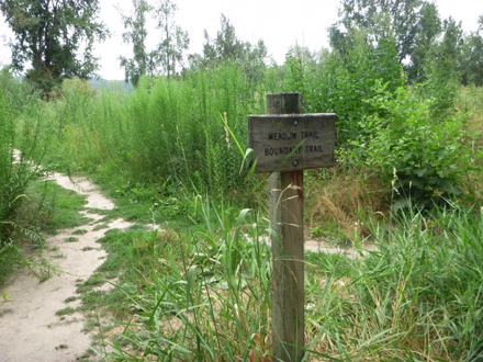 Sign to Meadow Trail and Boundary Trail – natural surface trail with encroaching grass and sand